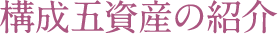 構成五資産の紹介